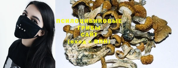 прущая мука Лабытнанги